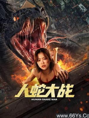 沉默的证人剧集封面